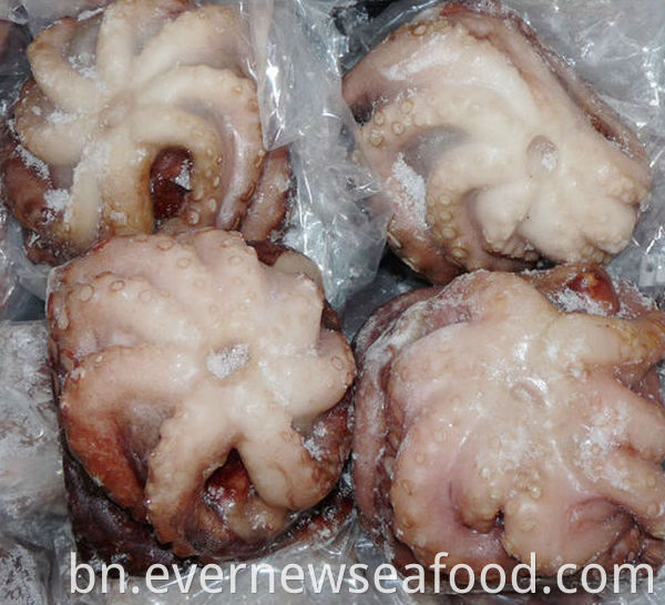 বিক্রির জন্য হিমায়িত অক্টোপাস